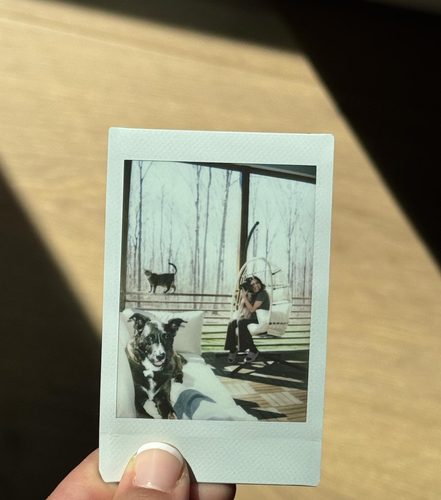 unnamed image